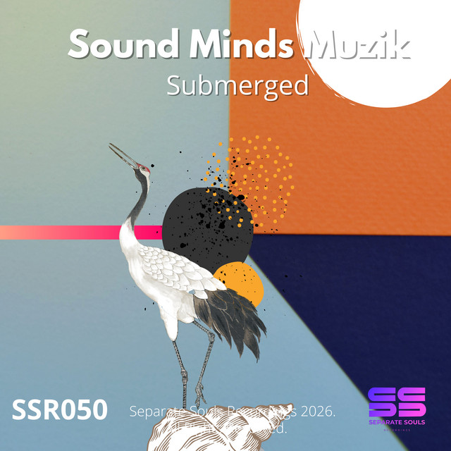 Submerged (Xquizit Dub) cover art