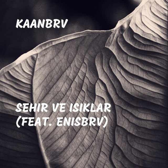 Sehir Ve Isiklar