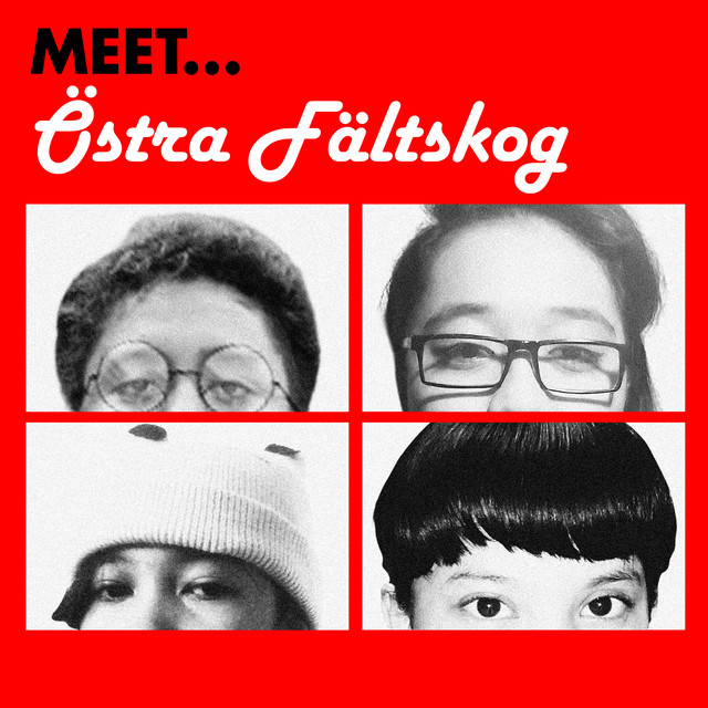 Meet... Östra Fältskog cover art