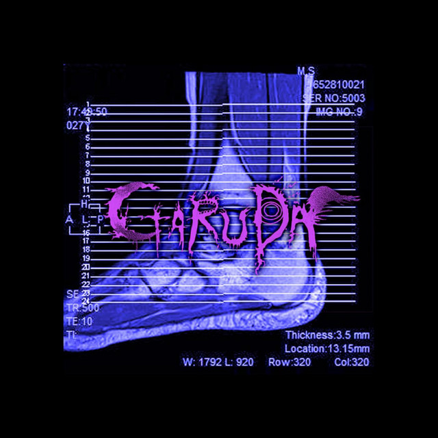 Mousuguyukiga cover art