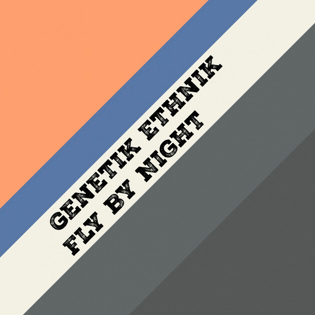 Genetik Ethnik