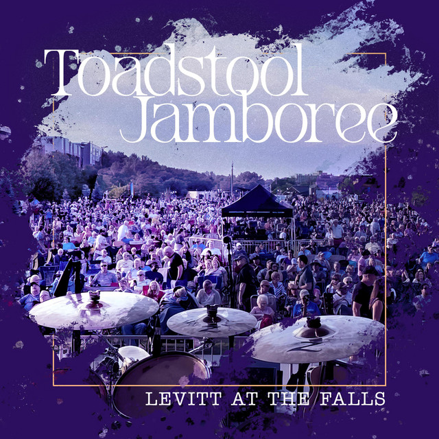 Levitt at the Falls-A Live Album cover art