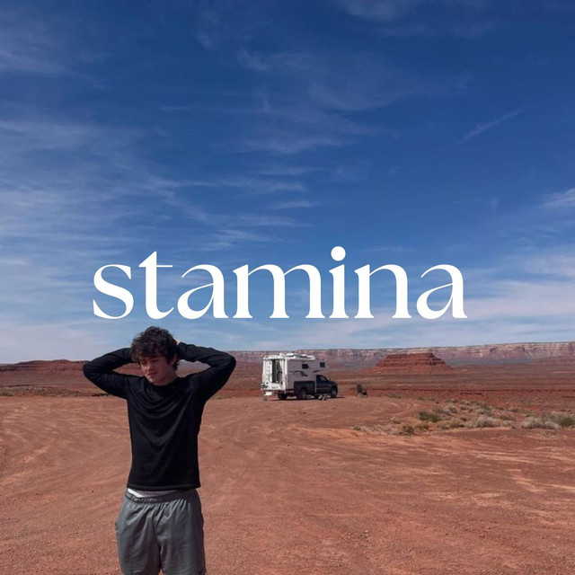 Stamina cover art