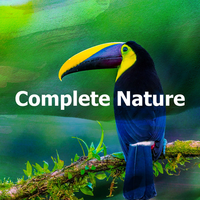 Birds Sing Together - song and lyrics by Pro Sounds of Nature | Spotify