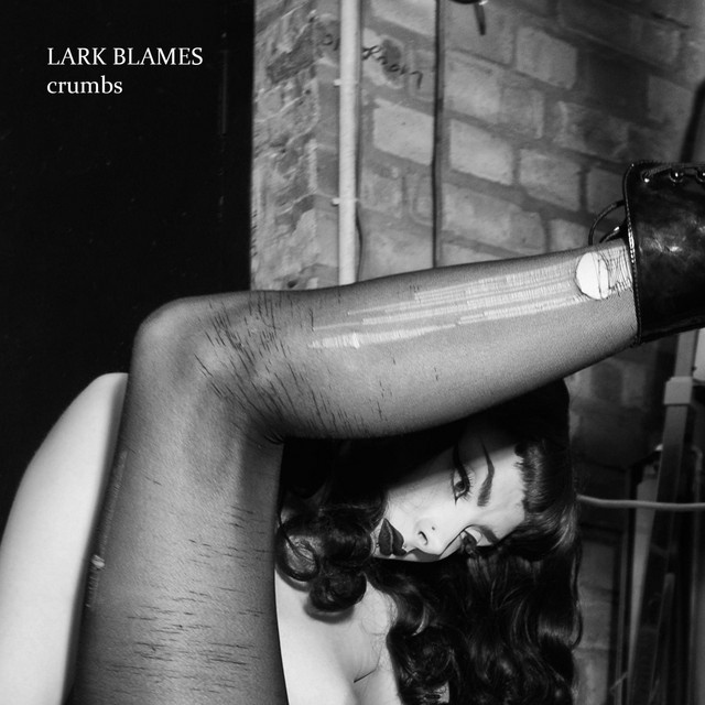 Crumbs cover