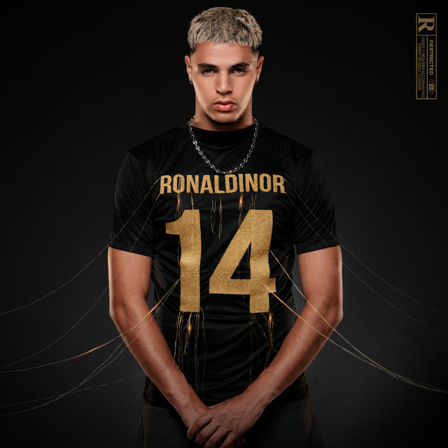 Ronaldinor cover art