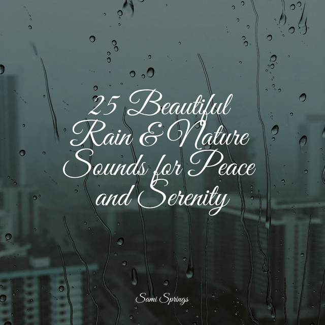 25 Beautiful Rain & Nature Sounds for Peace and Serenity - Album by ...