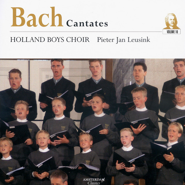 Bach Cantates, Vol. 10