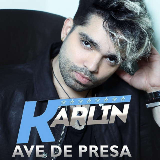 Ave de Presa