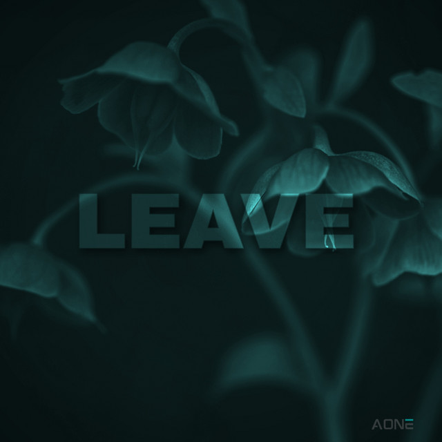 Leave (New) - Single by AONE Style | Spotify