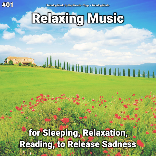 #01 Relaxing Music for Sleeping, Relaxation, Reading, to Release Sadness cover art