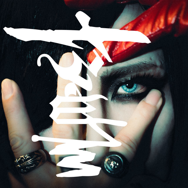 A CONNECTIV SISTEM cover art