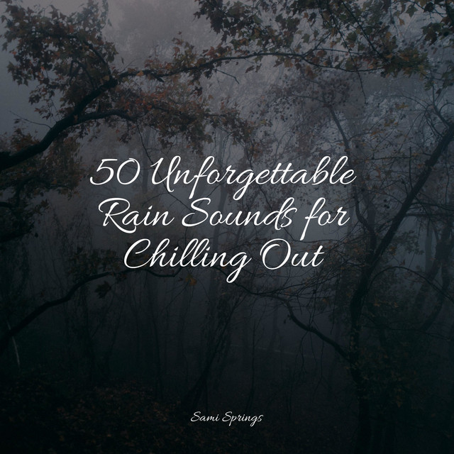 50 Unforgettable Rain Sounds for Chilling Out - Album by Sleep Music ...