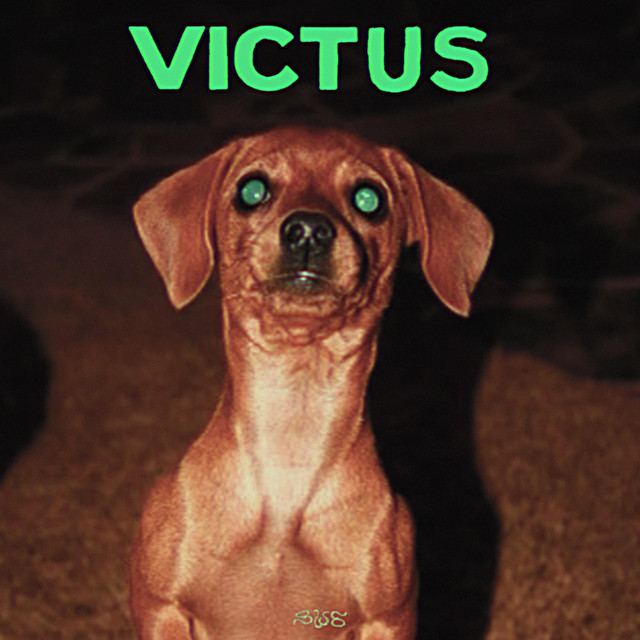 VICTUS cover art