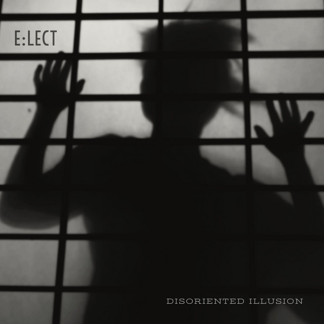Disoriented Illusion cover art