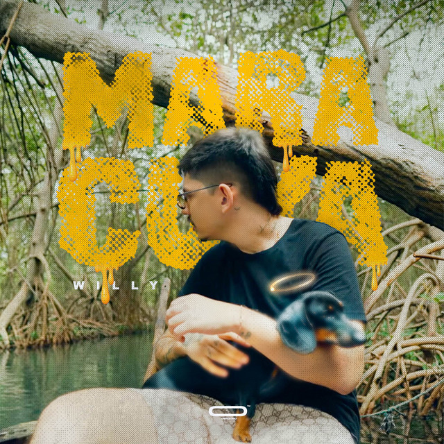 Willy | Spotify