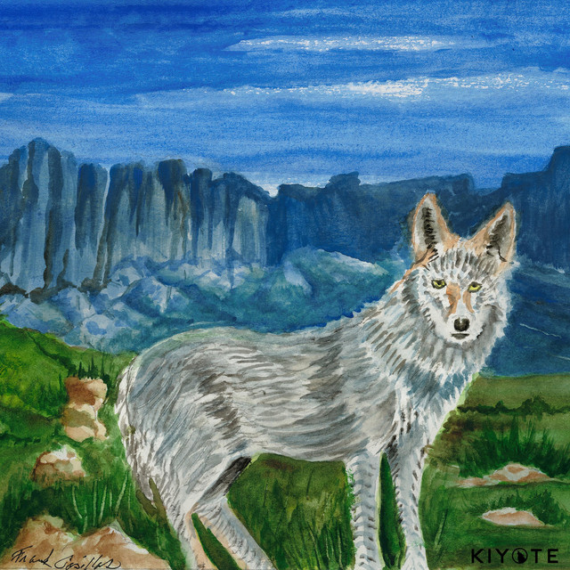 Rainstick cover art