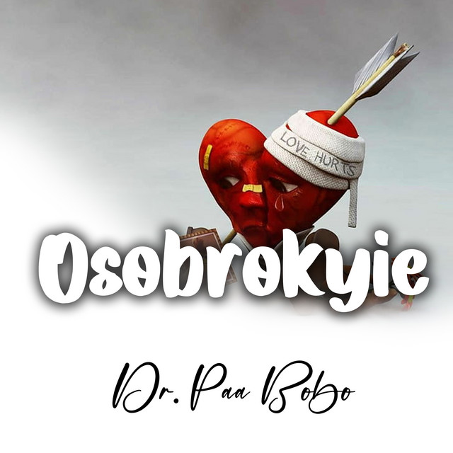 Dr. Paa Bobo | Spotify