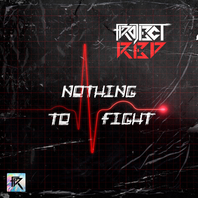 Nothing To Fight cover