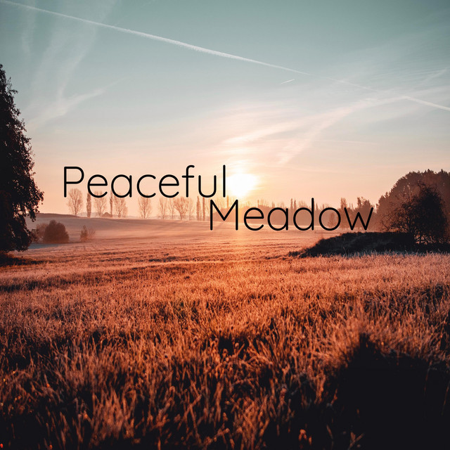 Matthias Schneiders – Peaceful Meadow