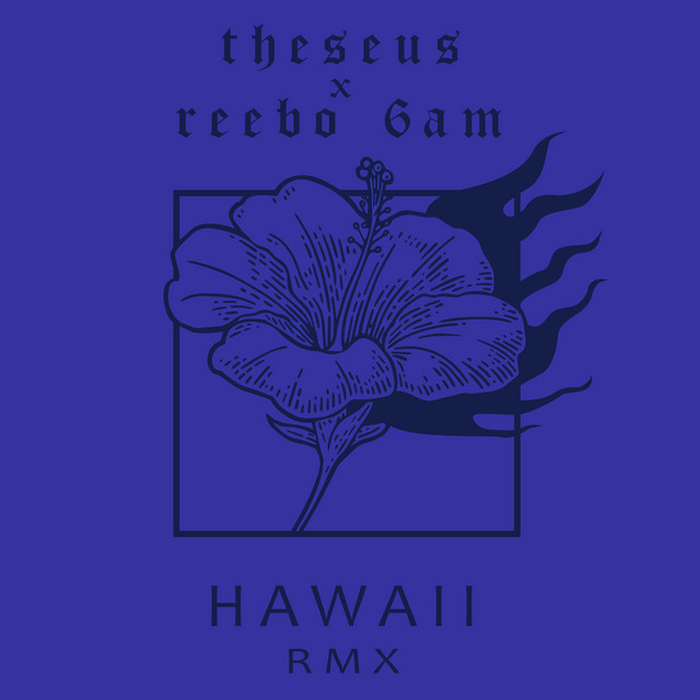 Hawaii Remix cover