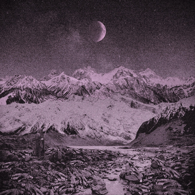 The Fields Were Rotting (2023) cover