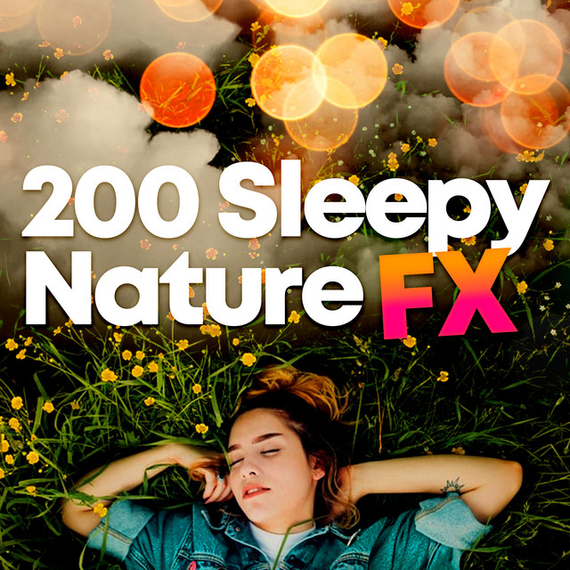 200 Sleepy Nature FX ! ! ! ! - Album by Sleep Sounds of Nature | Spotify