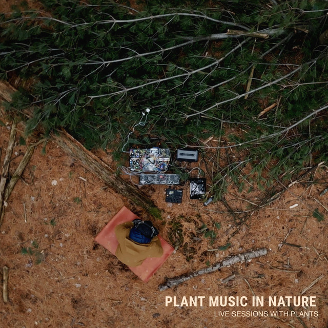 Plant Music in Nature cover art