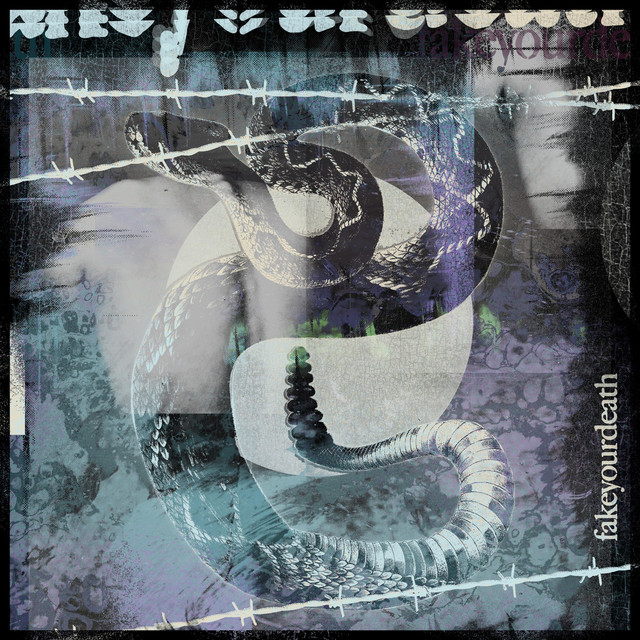 Shapeshifter cover