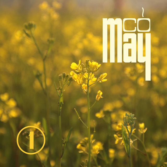 Cỏ May 1 cover
