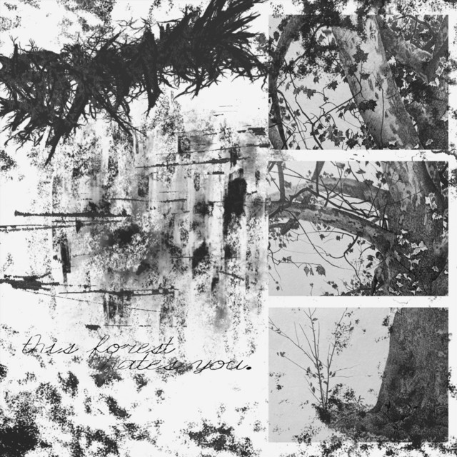 this forest hates you. cover art