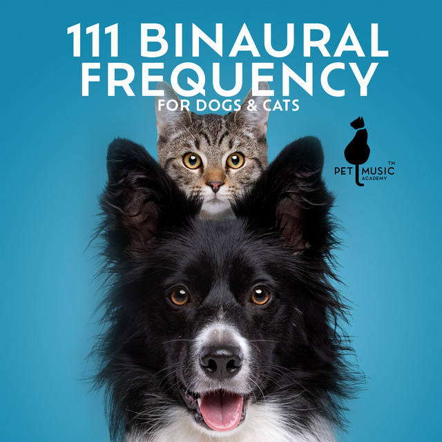 111 Binaural Frequency for Dogs & Cats cover art
