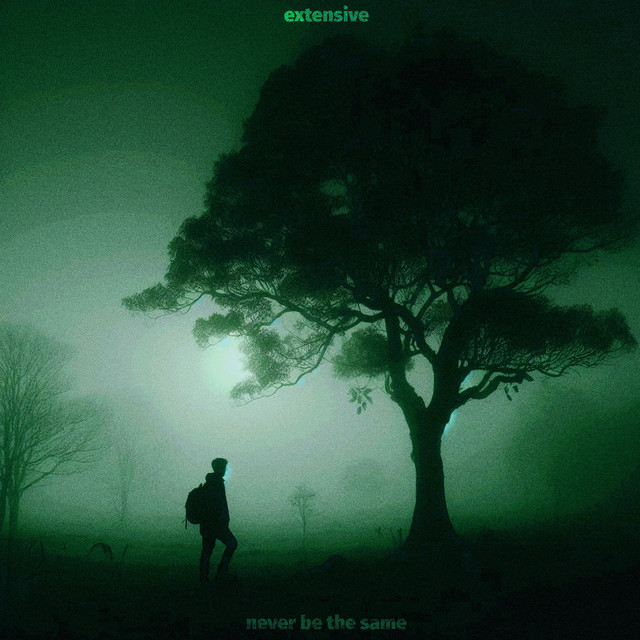 never be the same cover art