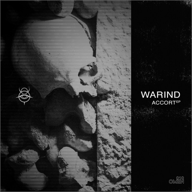 Redel - Swarm Intelligence Remix cover art