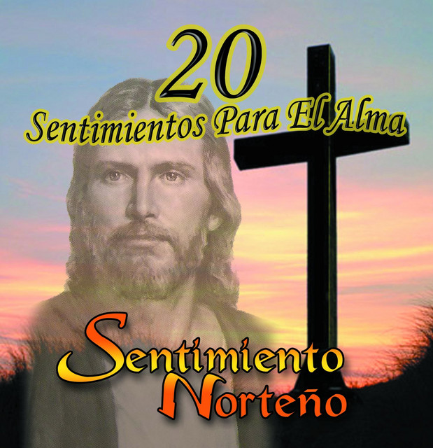 20 Sentimientos para el Alma cover art