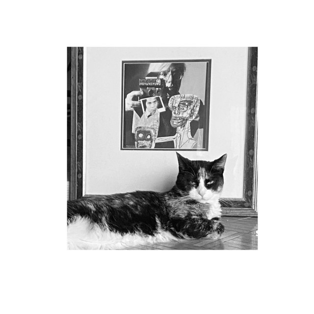 Dry Food cover art