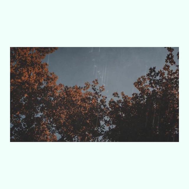 never enough cover art