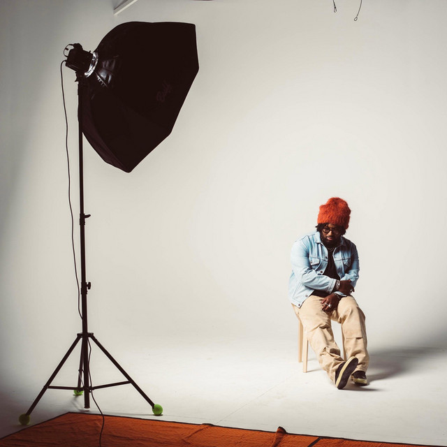 Go cover art