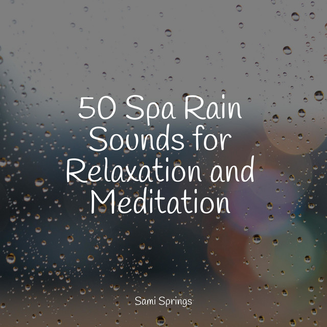 50 Peaceful Loopable Rain Sounds for Sleep - Album by Sleep Meditation ...