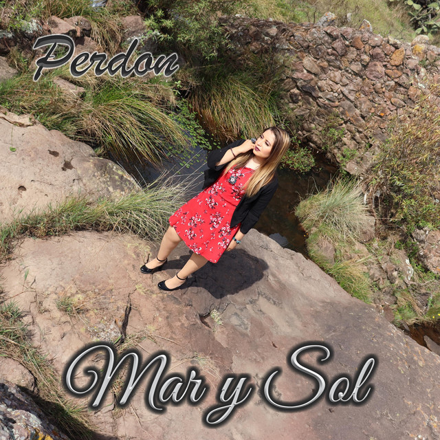 Perdon cover