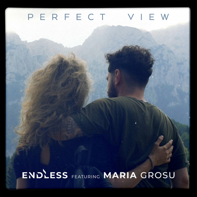 Perfect View cover art