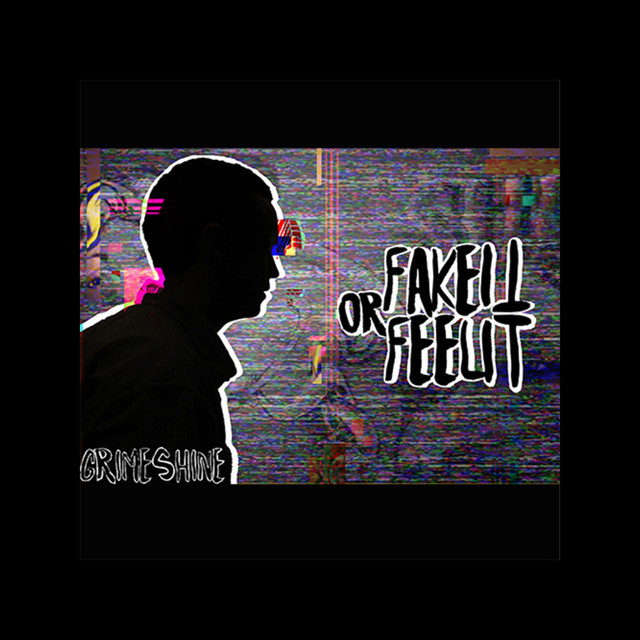 Fake It or Feel It cover art