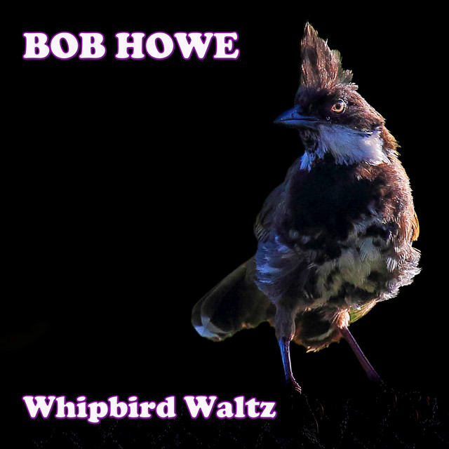Whipbird Waltz cover