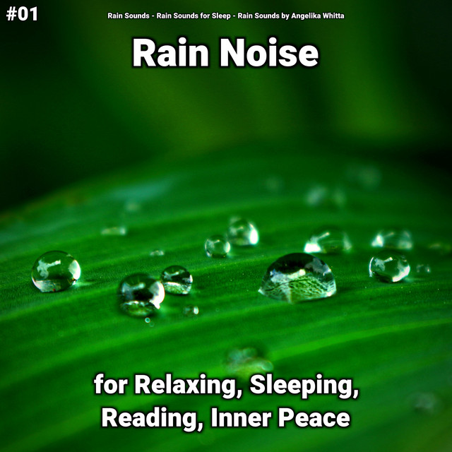 #01 Rain Noise for Relaxing, Sleeping, Reading, Inner Peace cover art