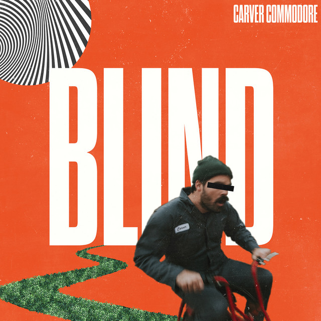 Blind cover
