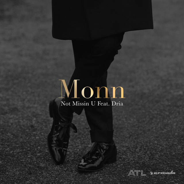 Not Missin U (feat. Dria) - Radio Edit