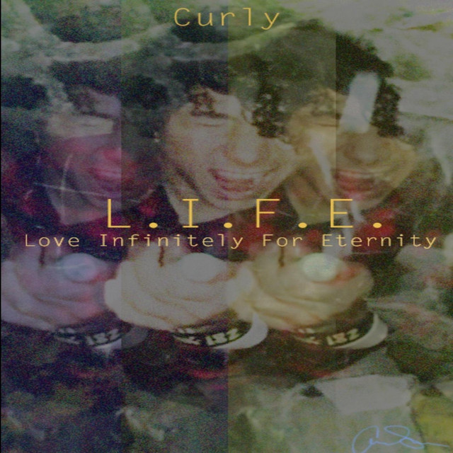 L.I.F.E. cover art
