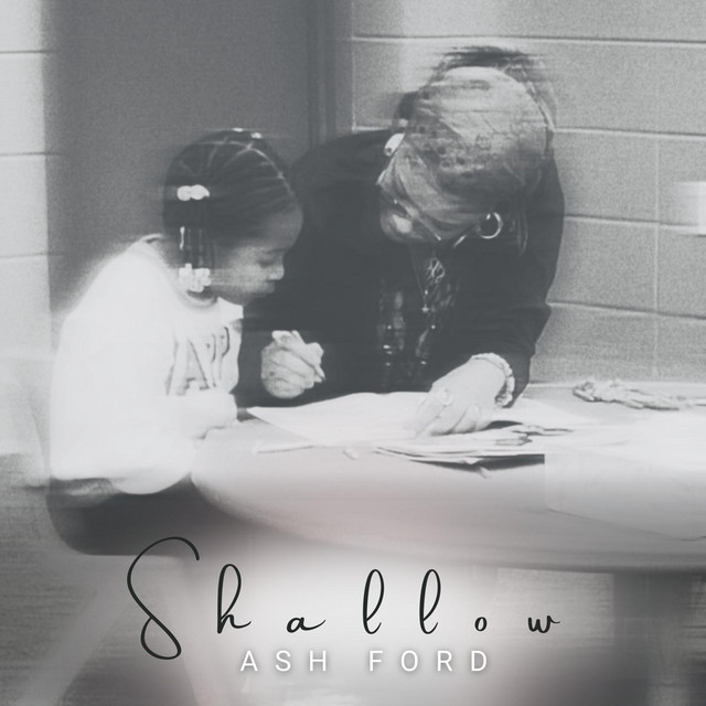 Shallow cover art