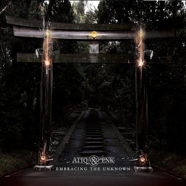 Embracing The Unknown cover art