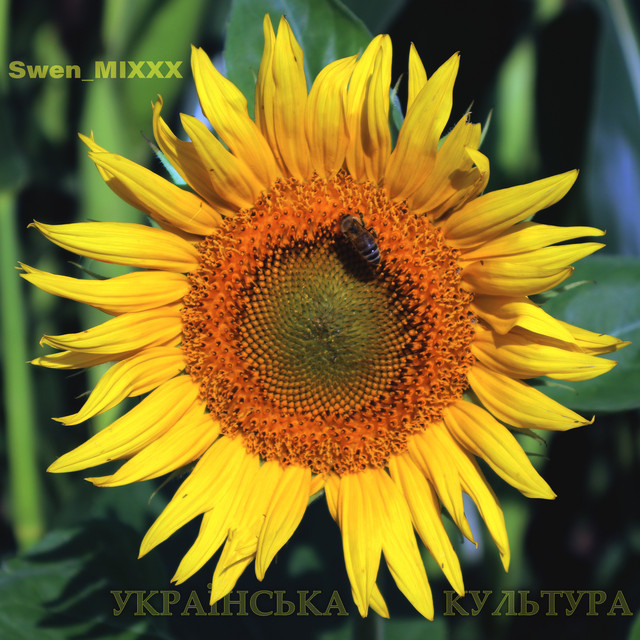 Обкладинка: Українська культура — Swen_mixxx